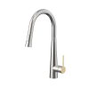 181029G001 Saniterra Milano Kitchen Mixer-Gold