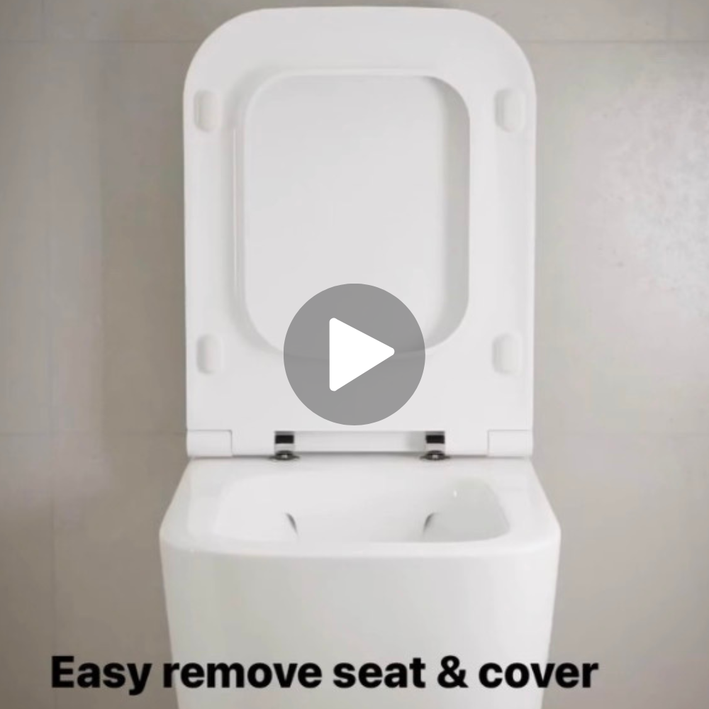 easy remove seat & cover in saniterra toilet