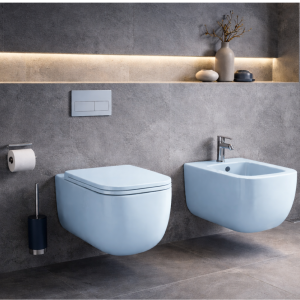 wall mounted toilet & bidet-nouvo tuscano-sky blue
